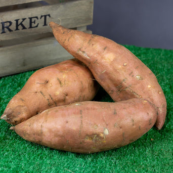 Sweet potato