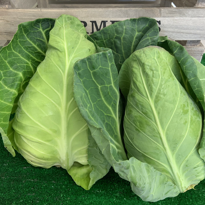 Sweetheart Cabbage