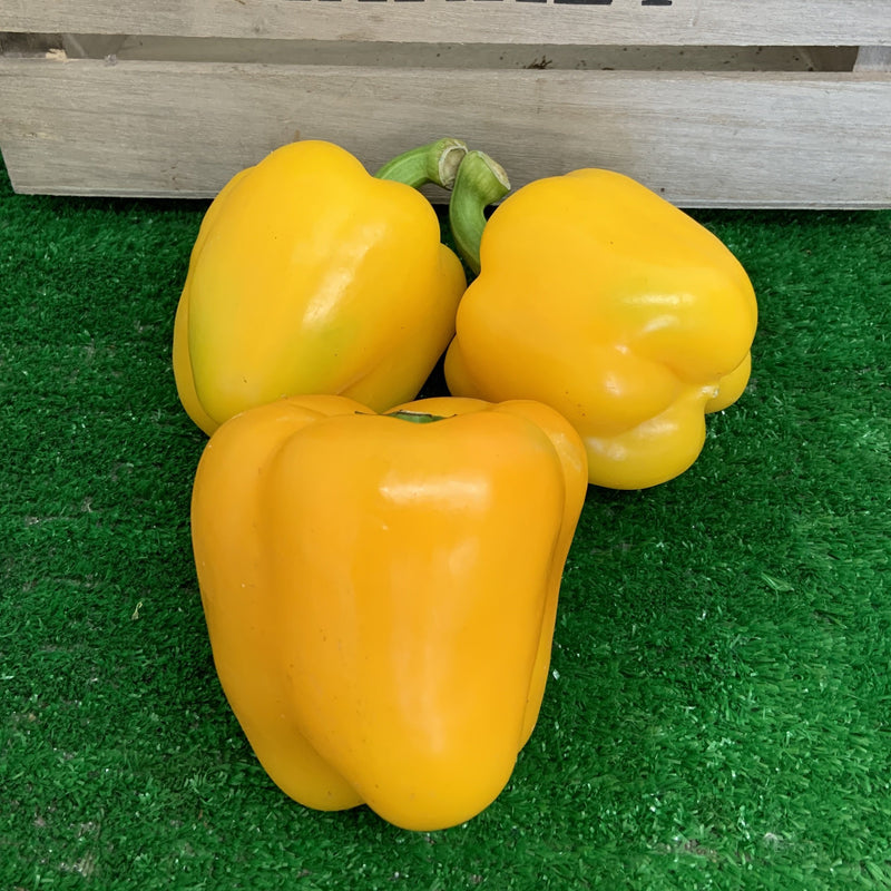 Yellow Pepper