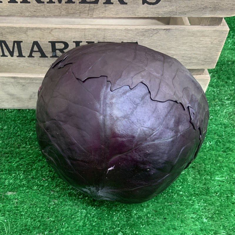 Red cabbage