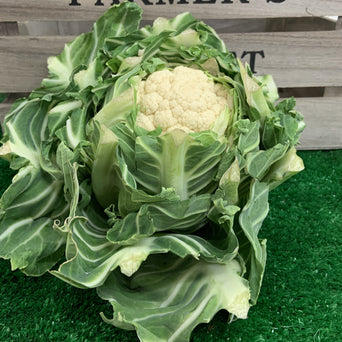 Cauliflower